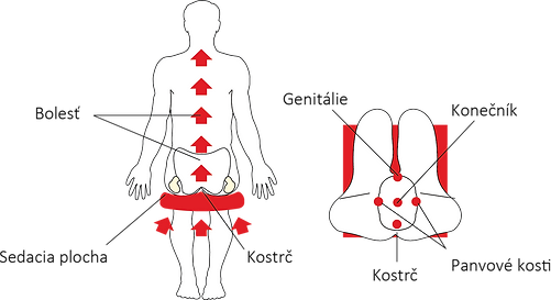 Ásana - optimální sedací plocha