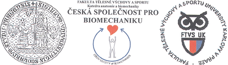 Ásana - optimální sedací plocha